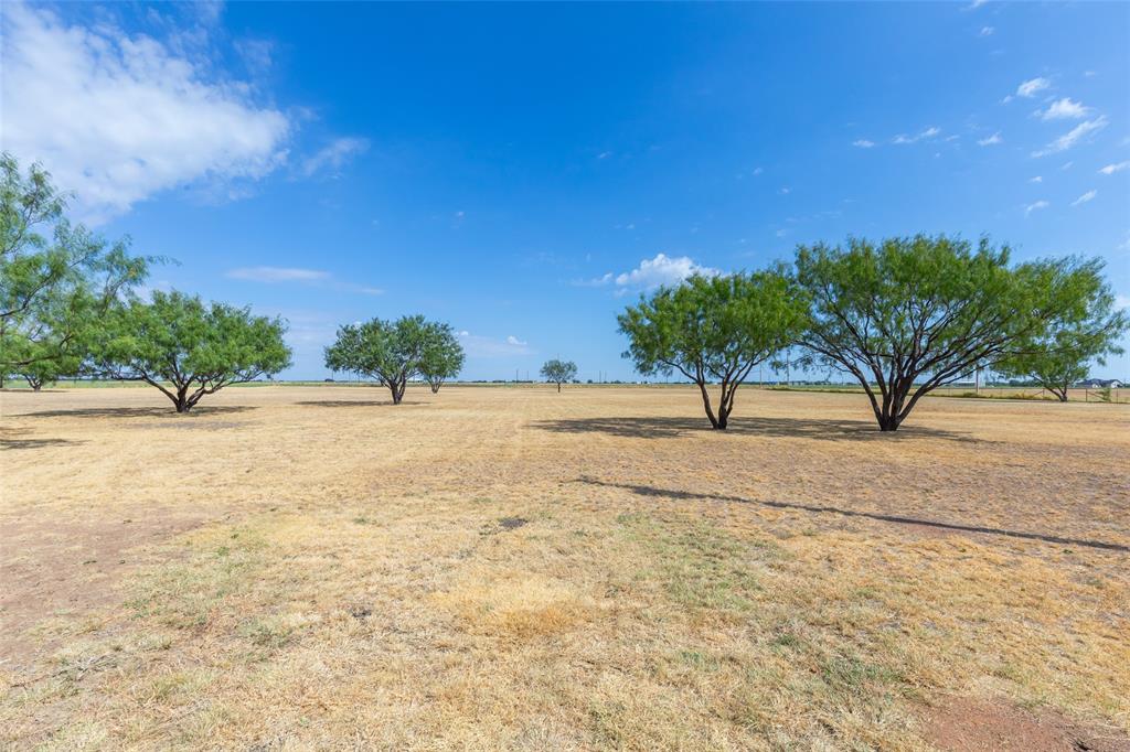 390 Mesquite Lane Property Photo 31