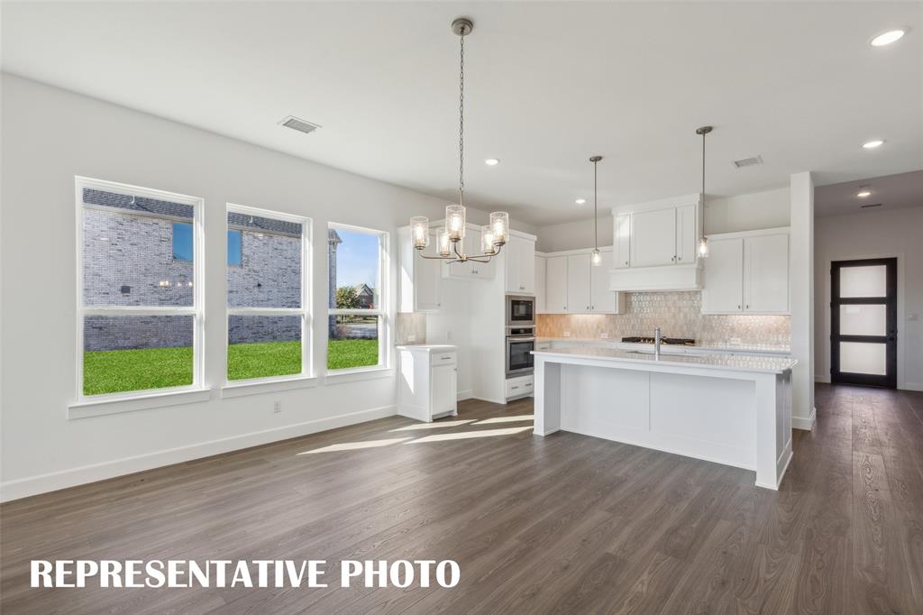 1805 Vetiver Glow Drive Property Photo 4