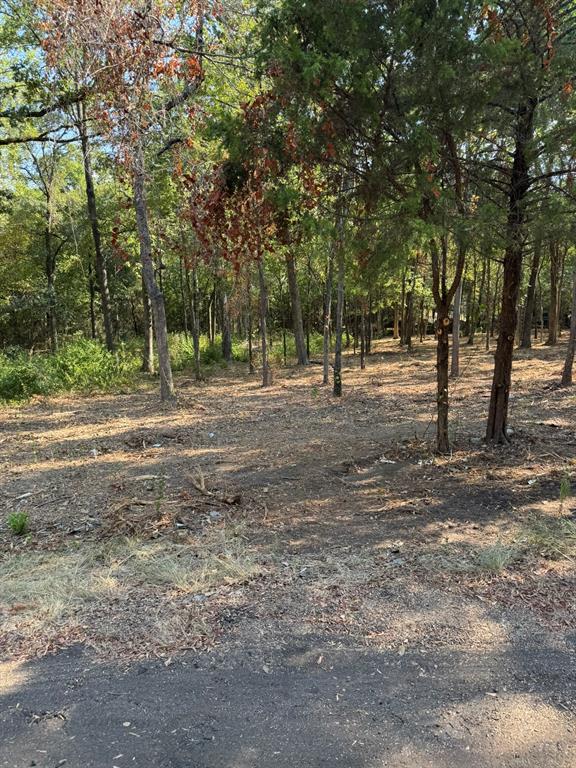 Tbd Garner Drive Property Photo 1
