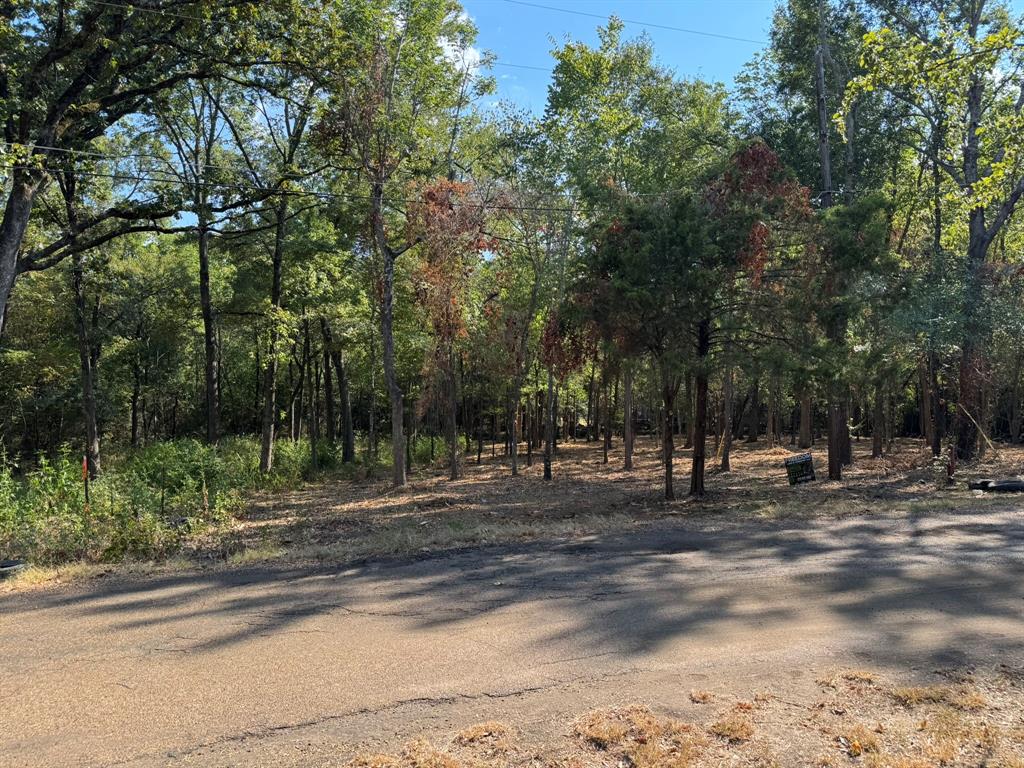 Tbd Garner Drive Property Photo 2