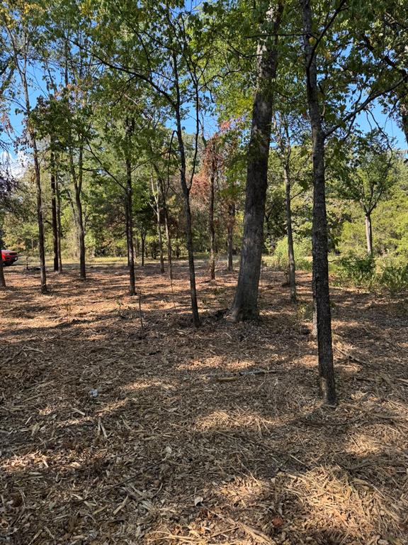 Tbd Garner Drive Property Photo 3