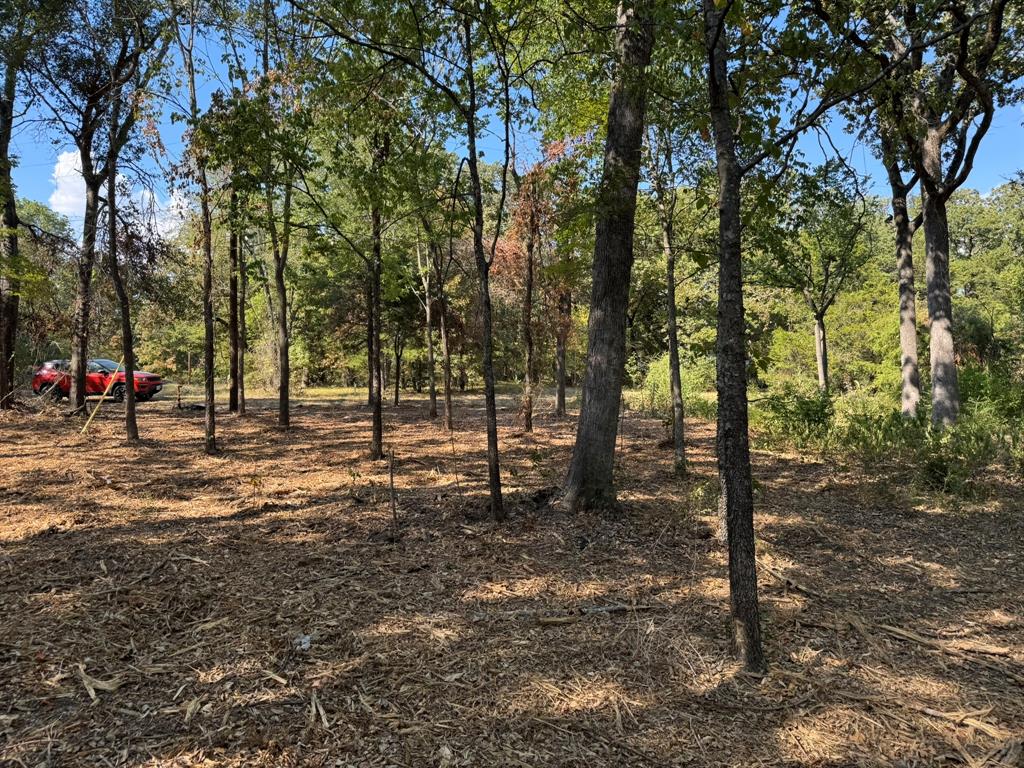 Tbd Garner Drive Property Photo 4