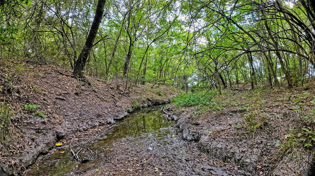 Tbd Us-82 Property Photo 5