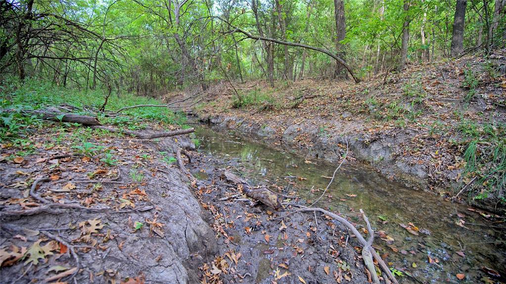 Tbd Us-82 Property Photo 14