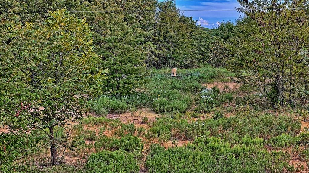Tbd Us-82 Property Photo 19
