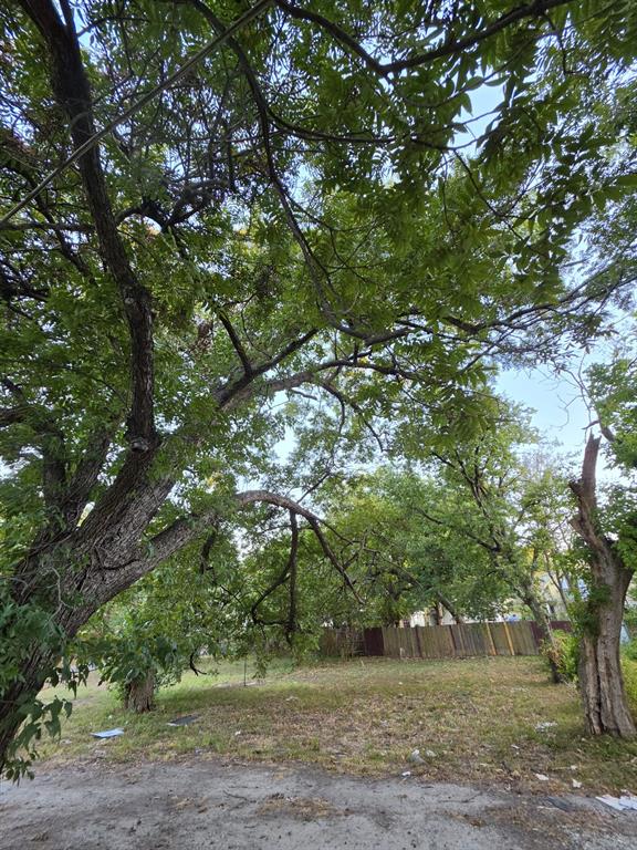 1218 Bliss Street Property Photo 1