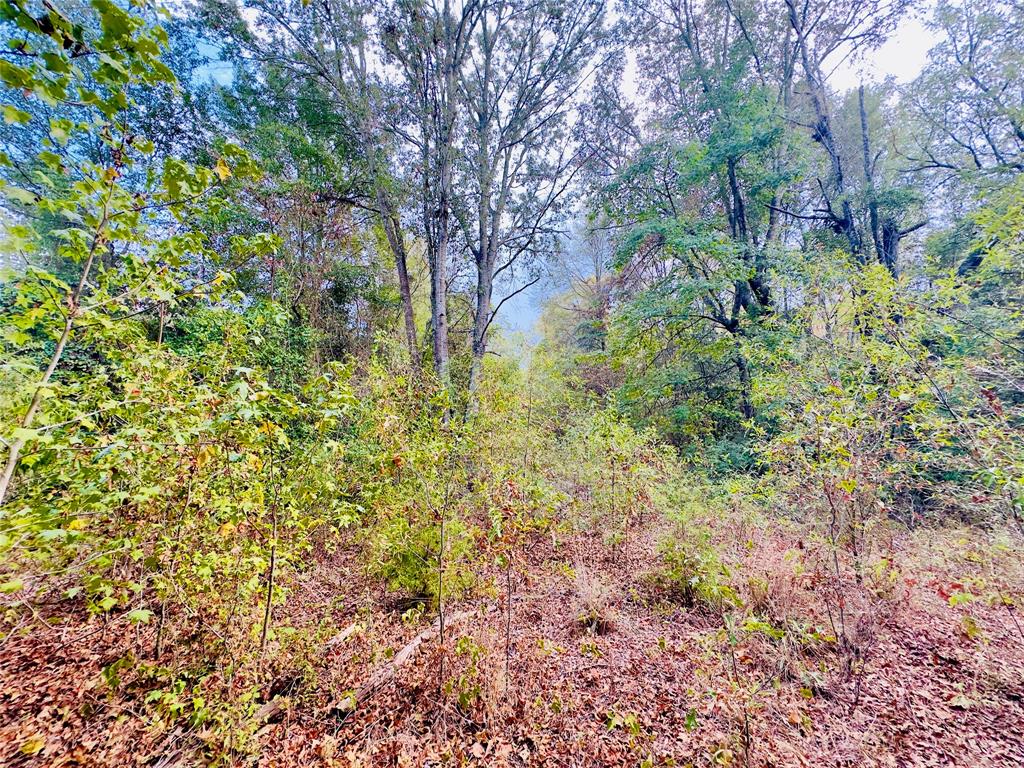 0000 Apple Tree Road