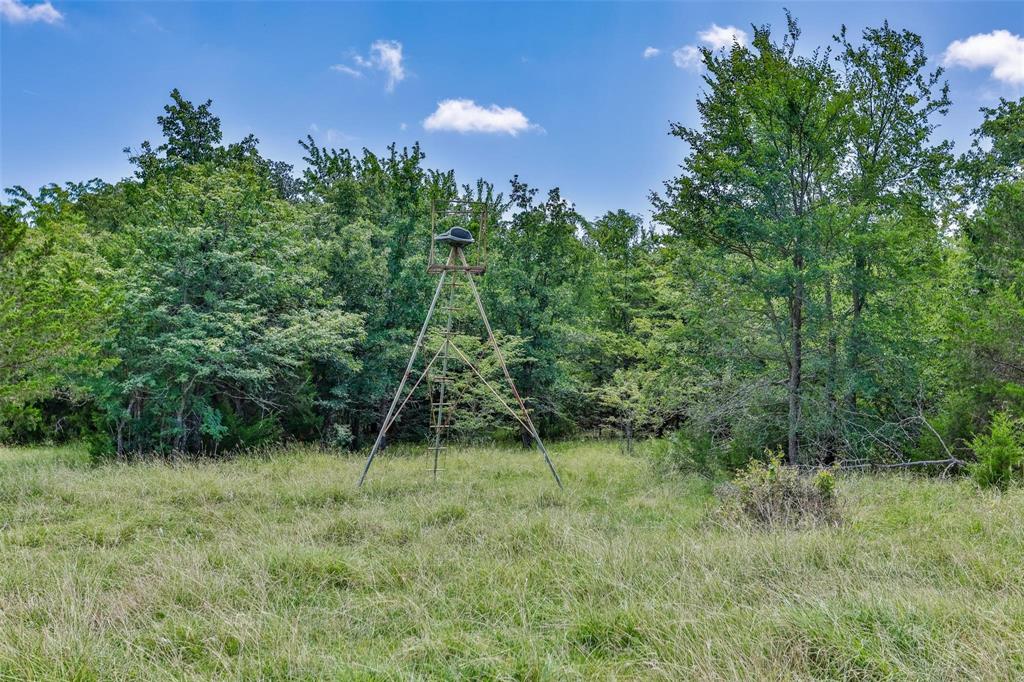 574 County Road 134 Property Photo 15