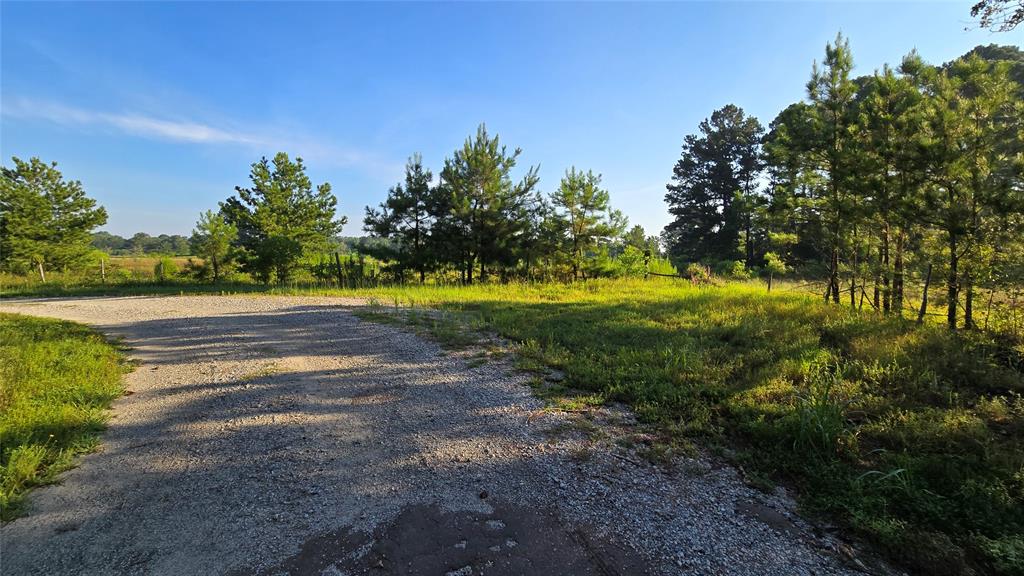 333 County Road 3092 Property Photo 1