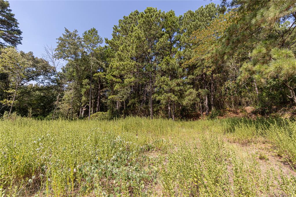 Tbd Valley View Property Photo 1