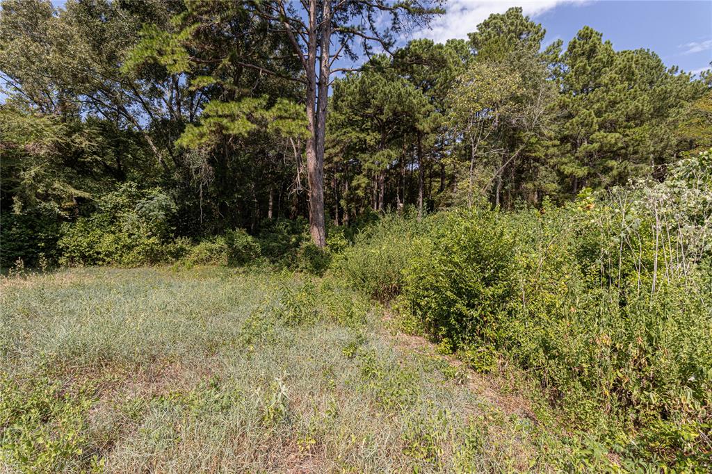 Tbd Valley View Property Photo 4