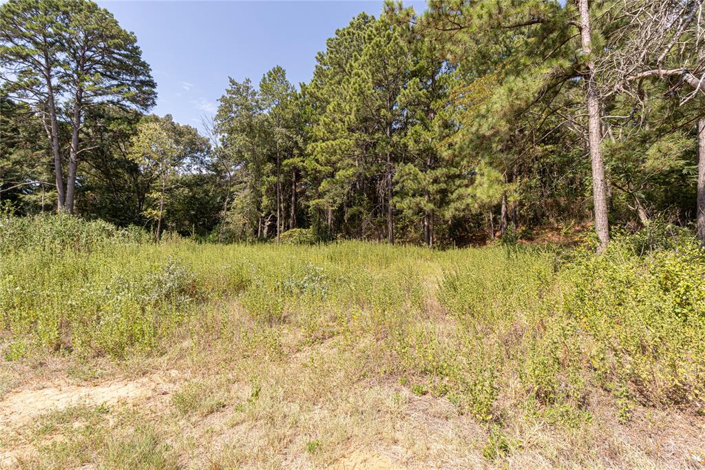 Tbd Valley View Property Photo 5