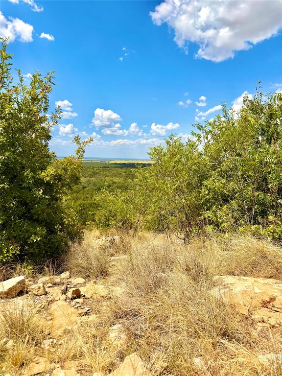 Tbd Tract 7 Pecan Shell Rd Property Photo 1