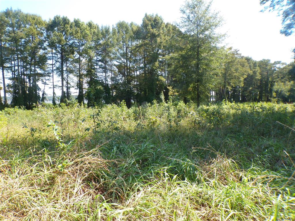 0 Collier Trail