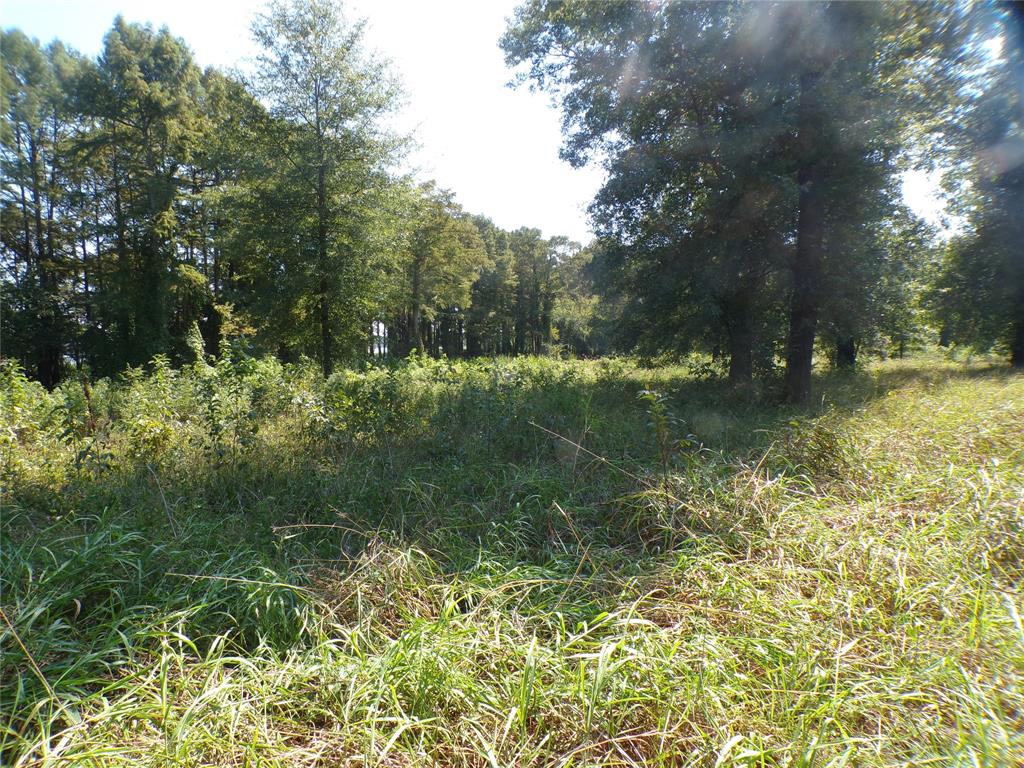 0 Collier Trail Property Photo 2