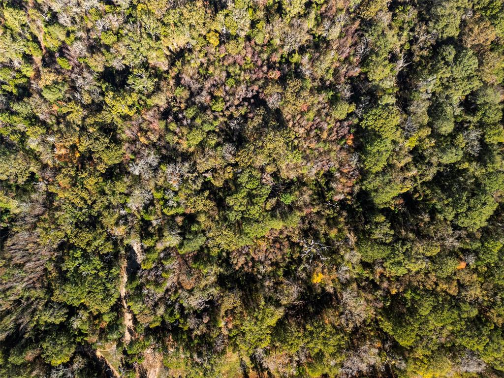 Tbd Vz County Road 4815 Property Photo 1