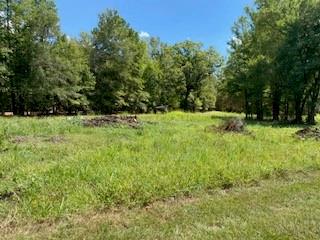 0 Wilderness Road Property Photo 1