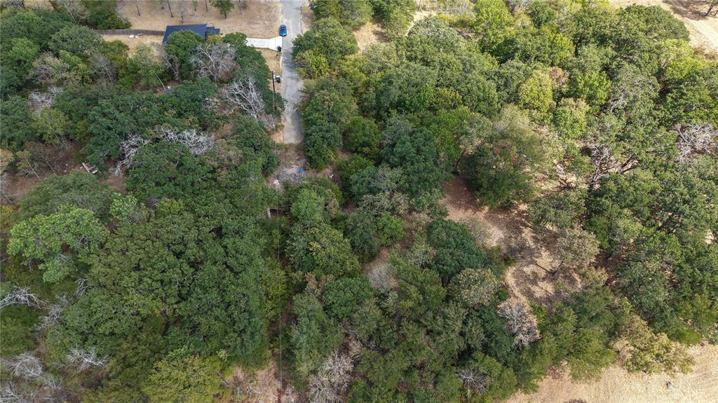 Tbd Brewster Street Property Photo 4