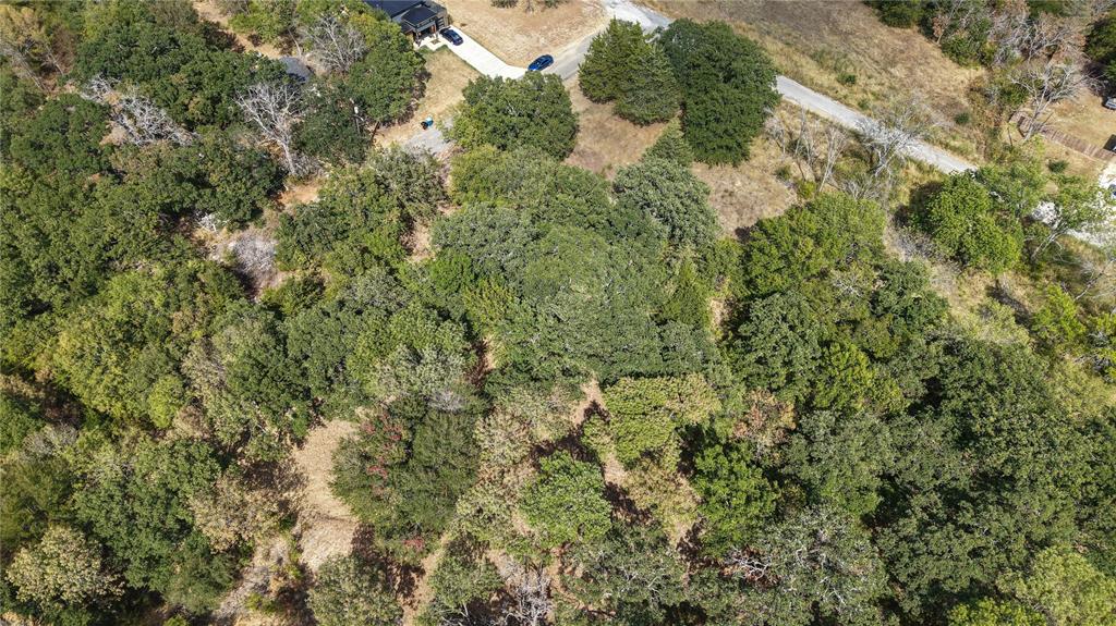 Tbd Brewster Street Property Photo 6