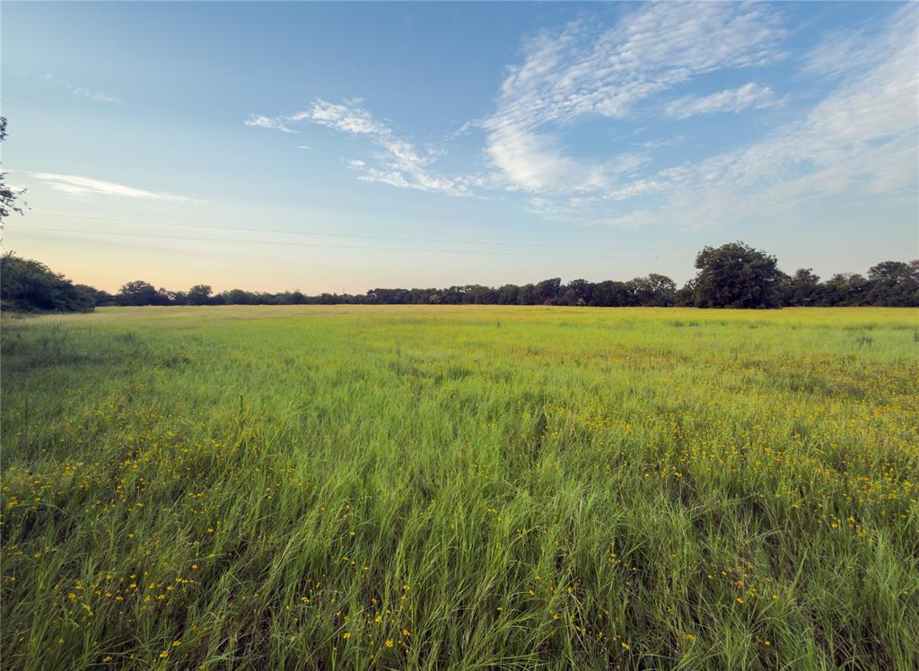 Lot 7 Wilson Road Property Photo 2
