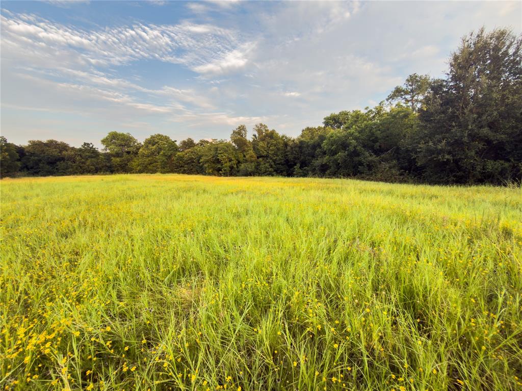 Lot 7 Wilson Road Property Photo 3