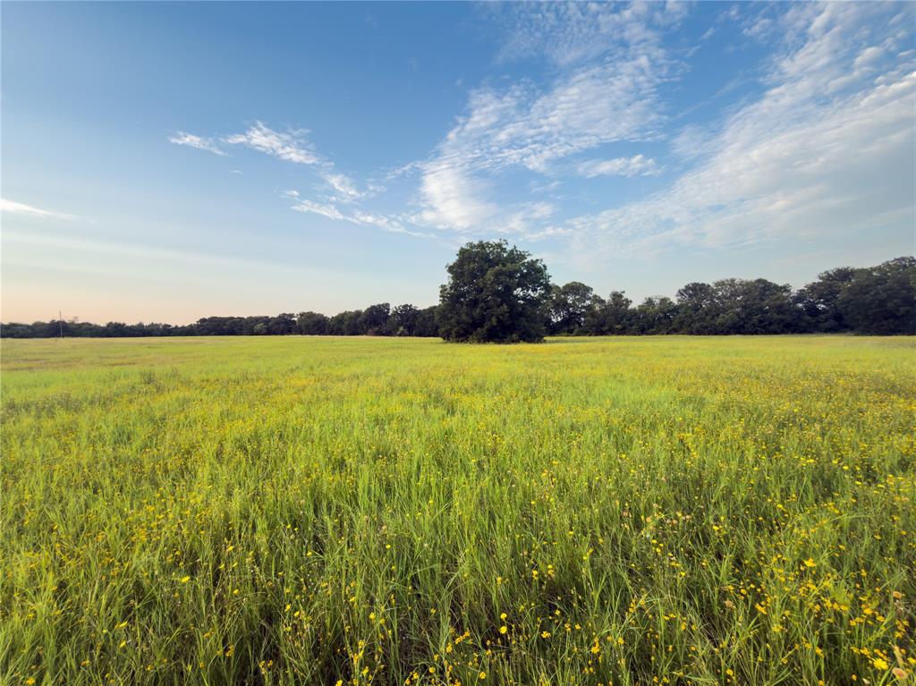 Lot 7 Wilson Road Property Photo 5