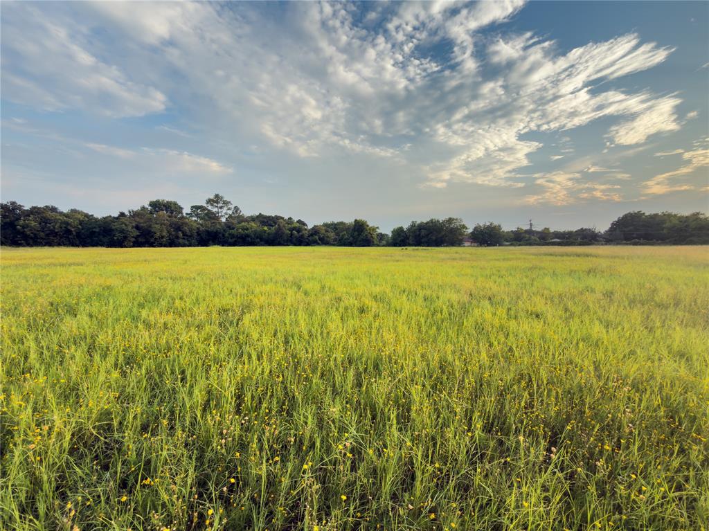 Lot 7 Wilson Road Property Photo 6