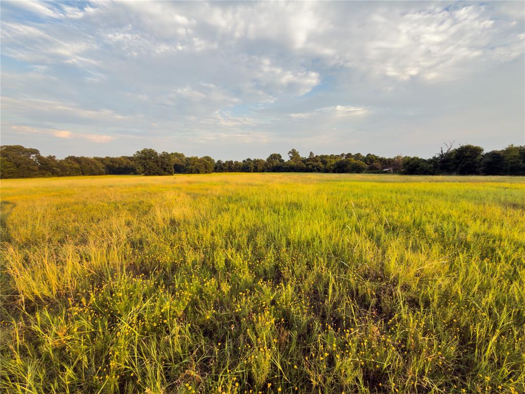 Lot 7 Wilson Road Property Photo 7