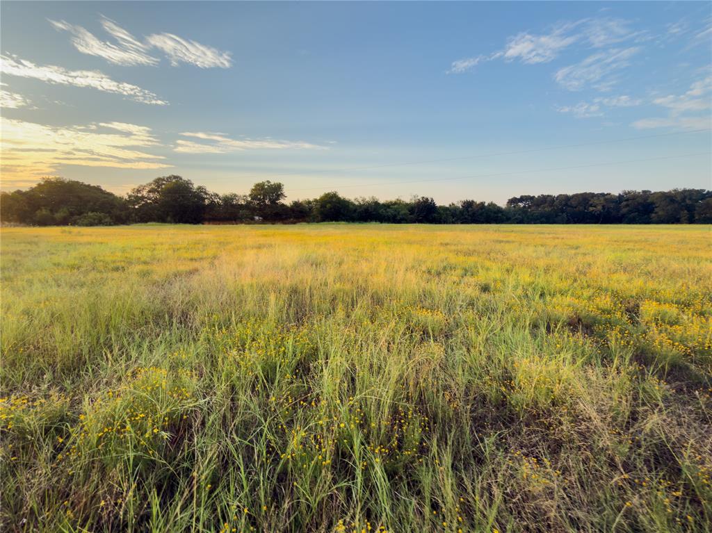 Lot 7 Wilson Road Property Photo 8