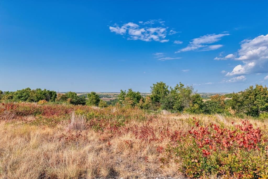 Lot 29 Cr 511 Property Photo 12