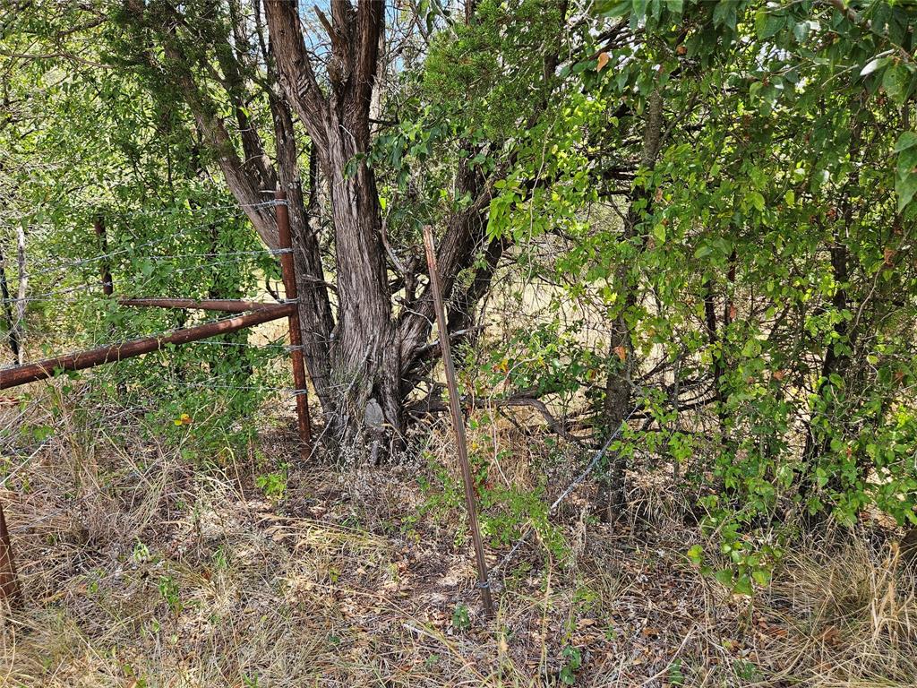 552 County Road 2655 Property Photo 22