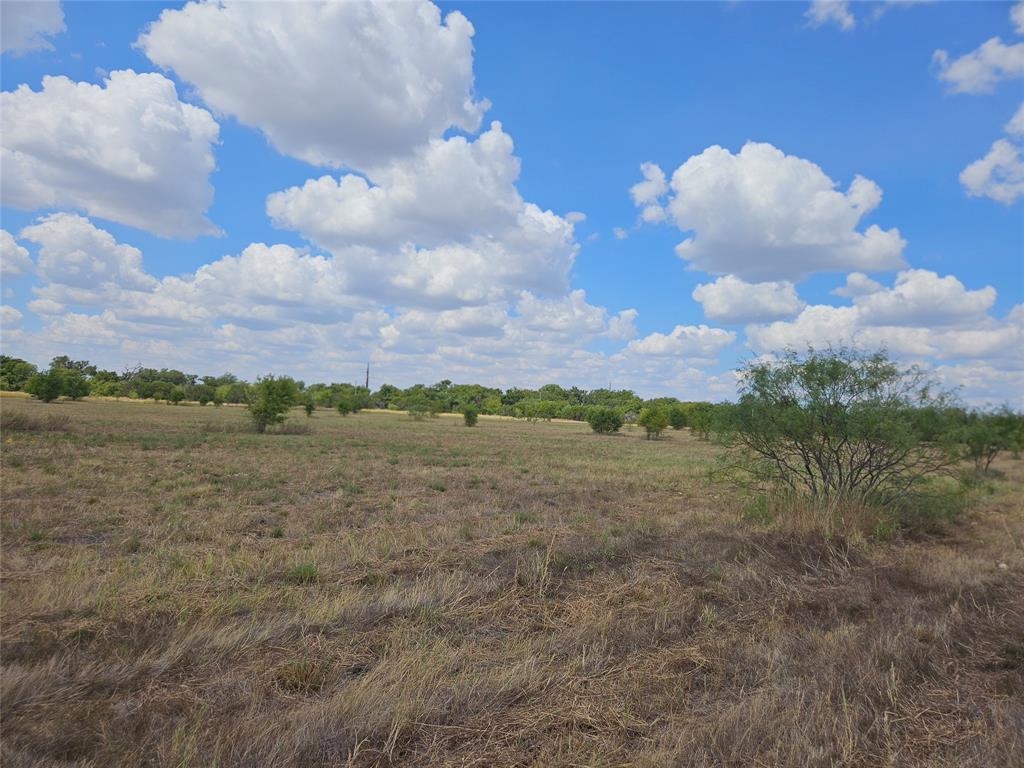 552 County Road 2655 Property Photo 26