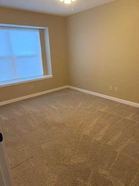 1828 Maplewood Trail Property Photo 8