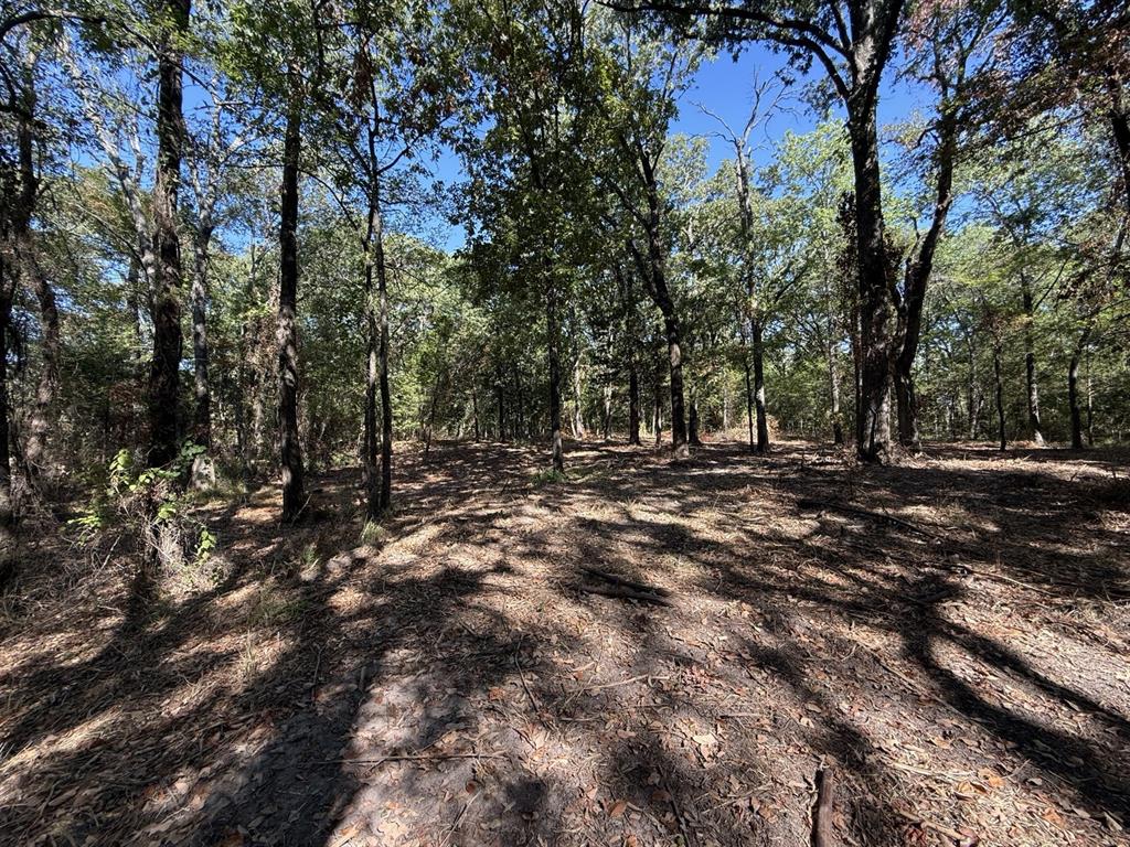 Lot 2 Wood Creek Drive