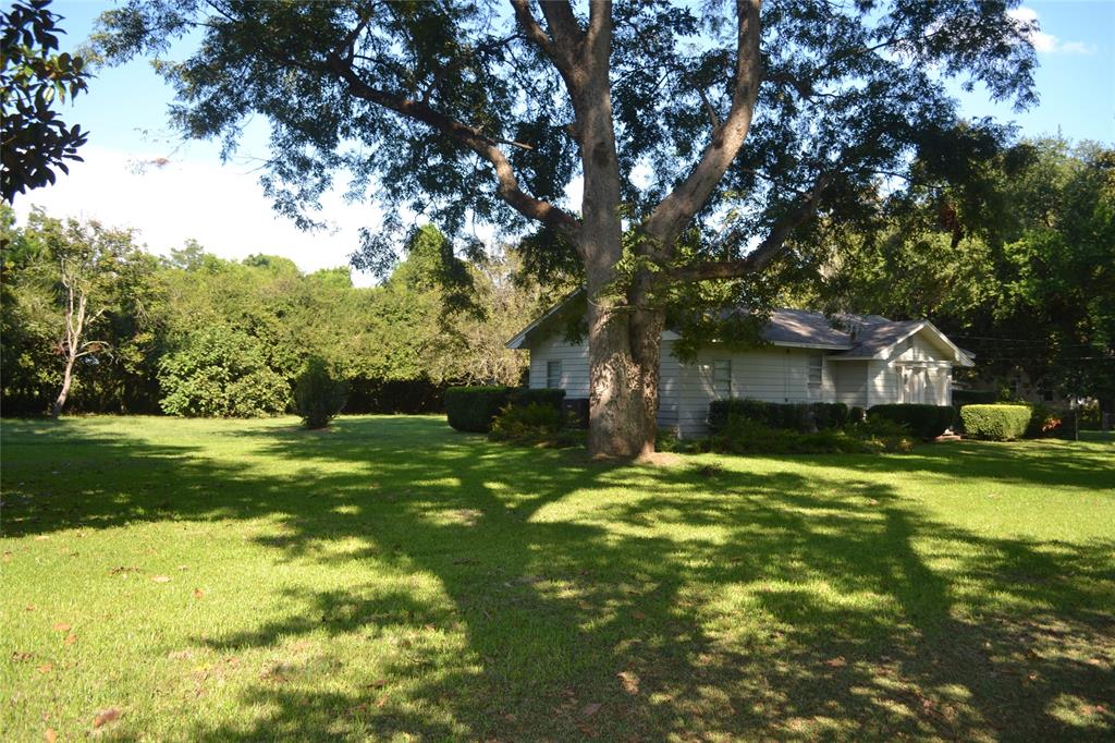 216 Louisiana Street Property Photo 4