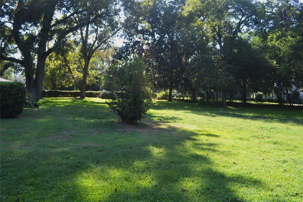 216 Louisiana Street Property Photo 23