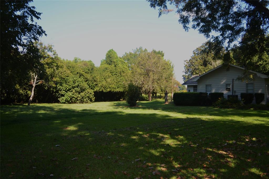 216 Louisiana Street Property Photo 25