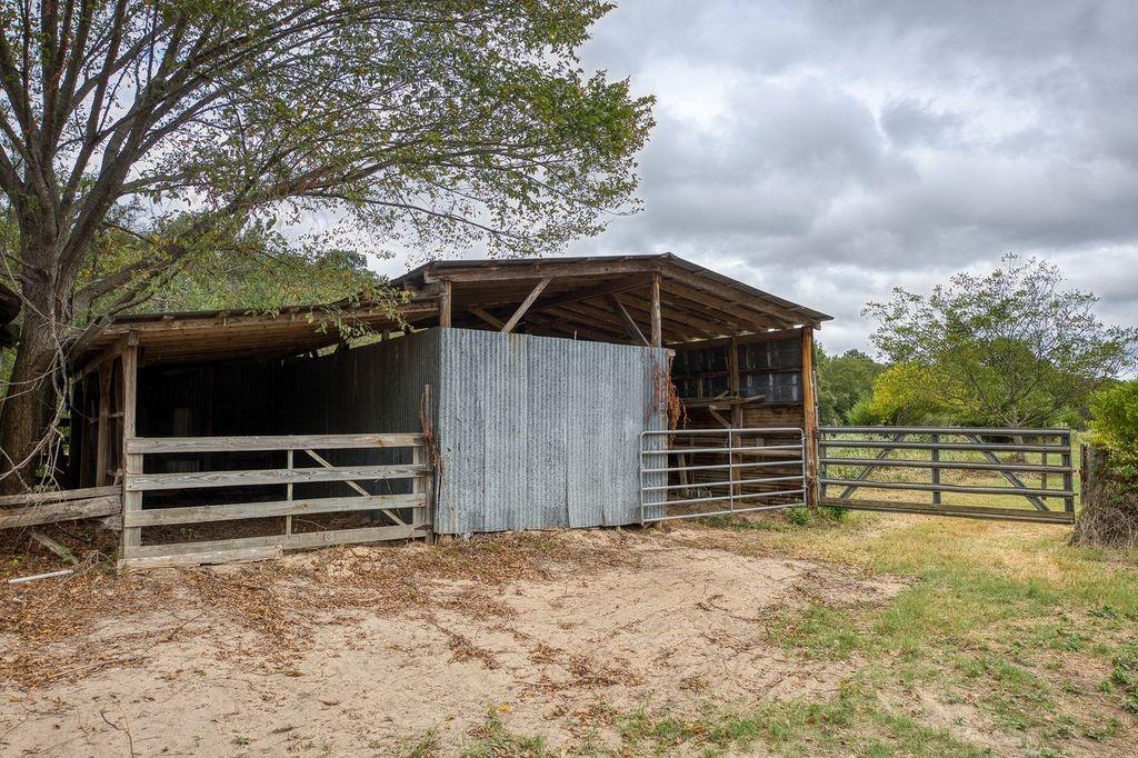 4233 An County Road 163 Property Photo 6