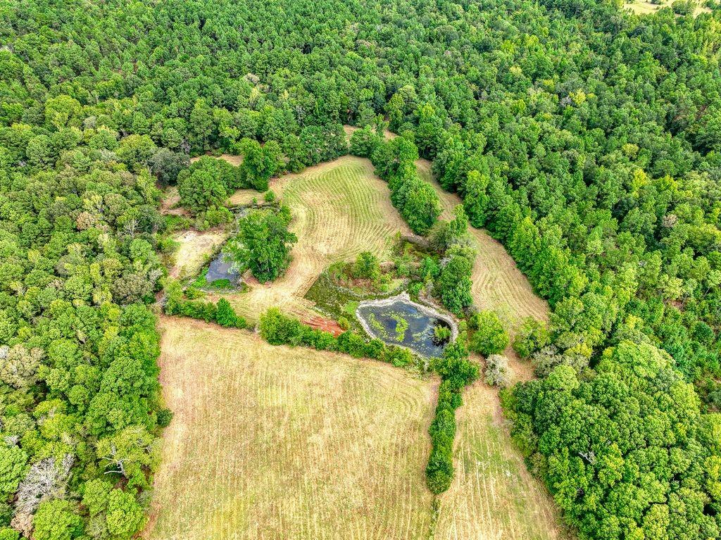 4233 An County Road 163 Property Photo 11