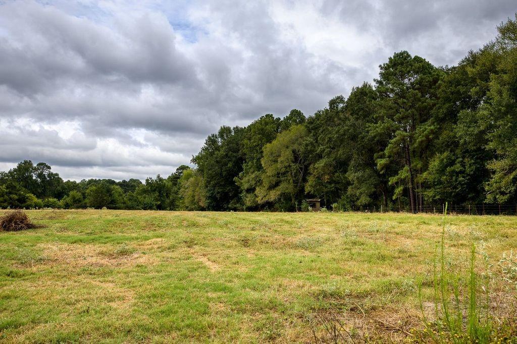 4233 An County Road 163 Property Photo 15