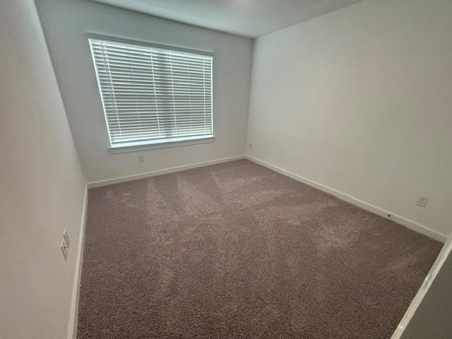 234 Wagon Spoke Way Property Photo 18