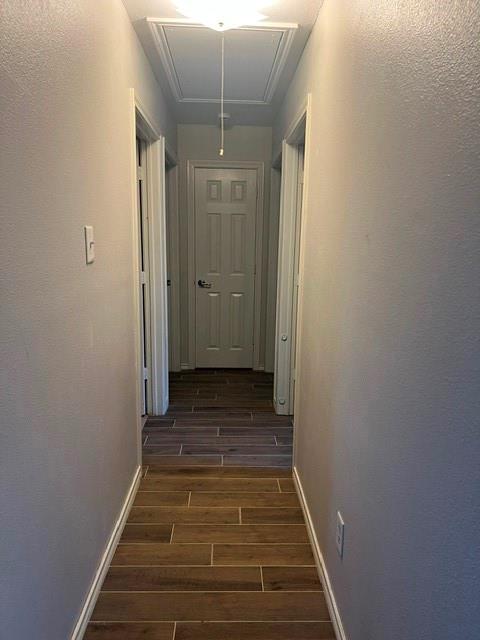703 Mill Street Property Photo 6