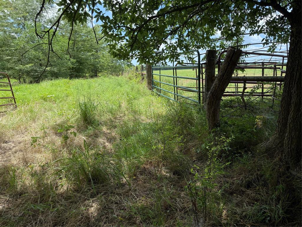 0 Fm 2653 Ws Inside Ridgeway Ranches Road Property Photo 2