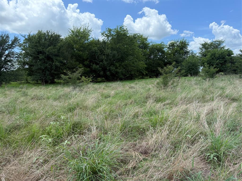 0 Fm 2653 Ws Inside Ridgeway Ranches Road Property Photo 5