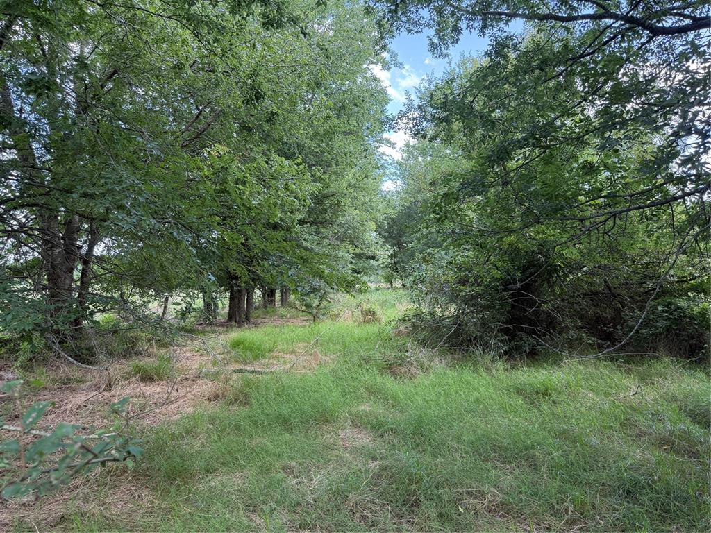 0 Fm 2653 Ws Inside Ridgeway Ranches Road Property Photo 7