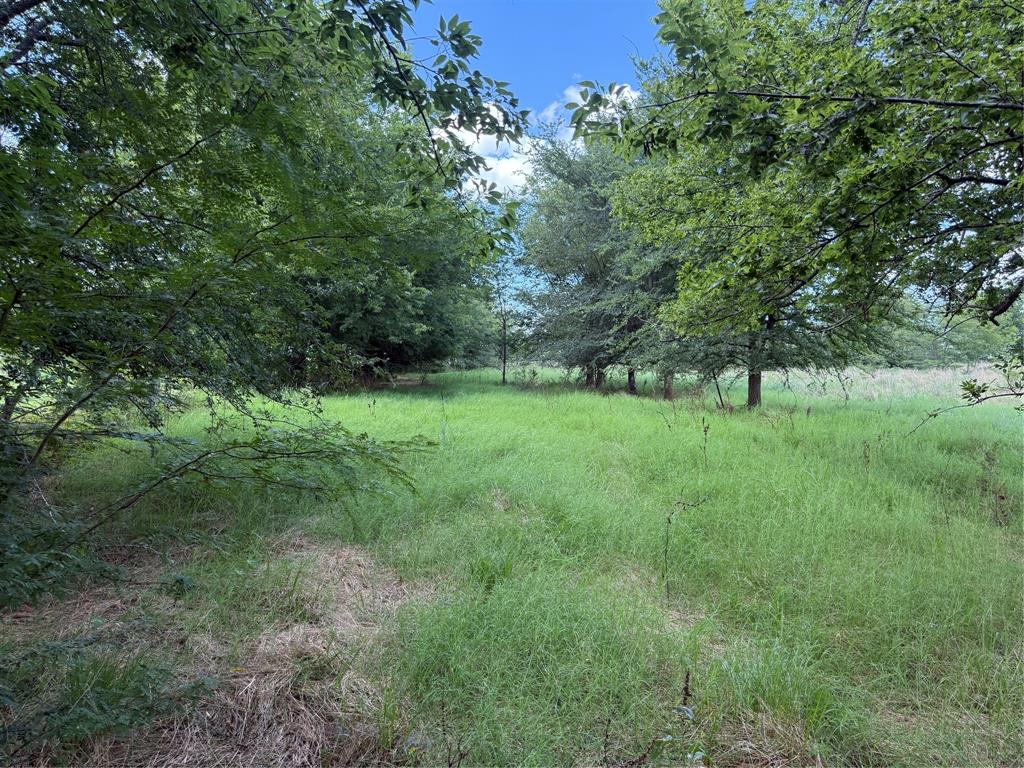 0 Fm 2653 Ws Inside Ridgeway Ranches Road Property Photo 8