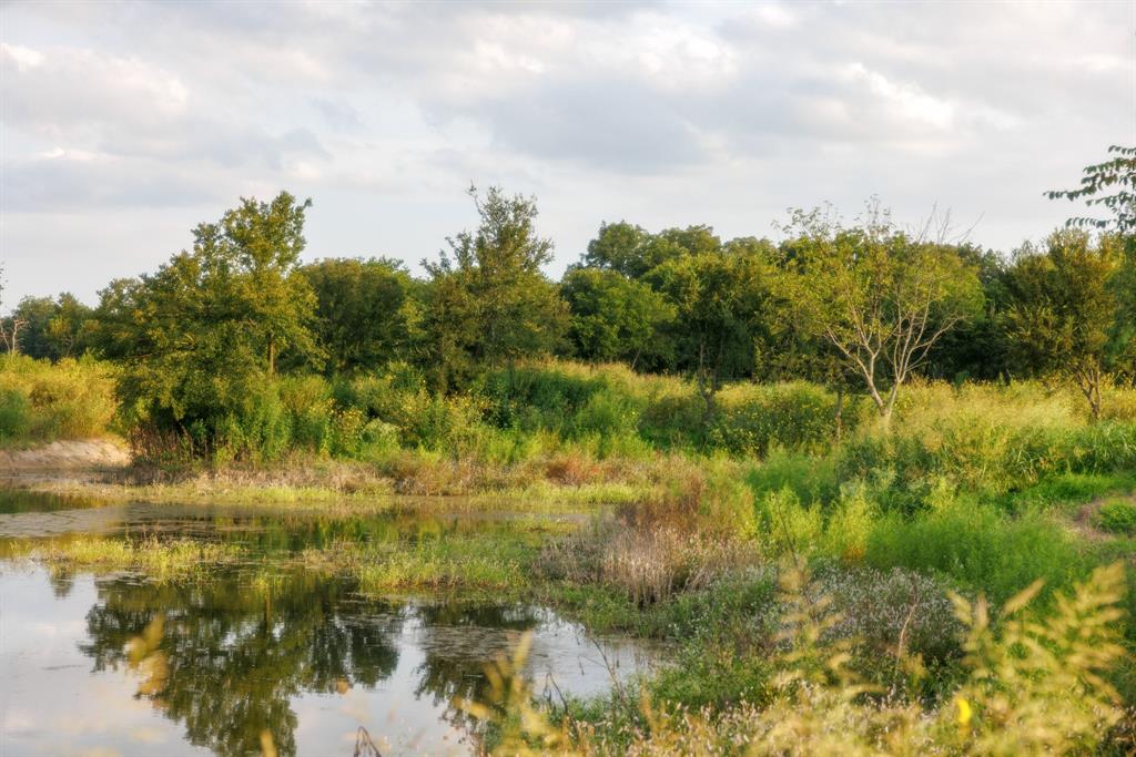 24+/- Ac. Tbd Hwy 6 Property Photo 3