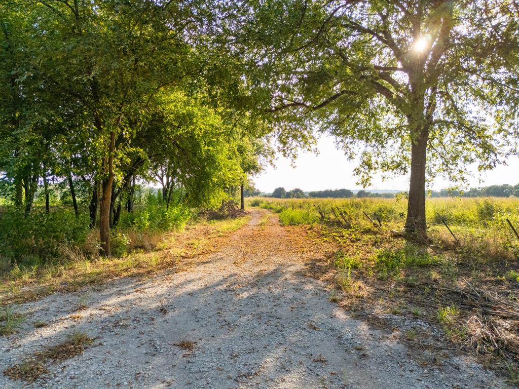 24+/- Ac. Tbd Hwy 6 Property Photo 13