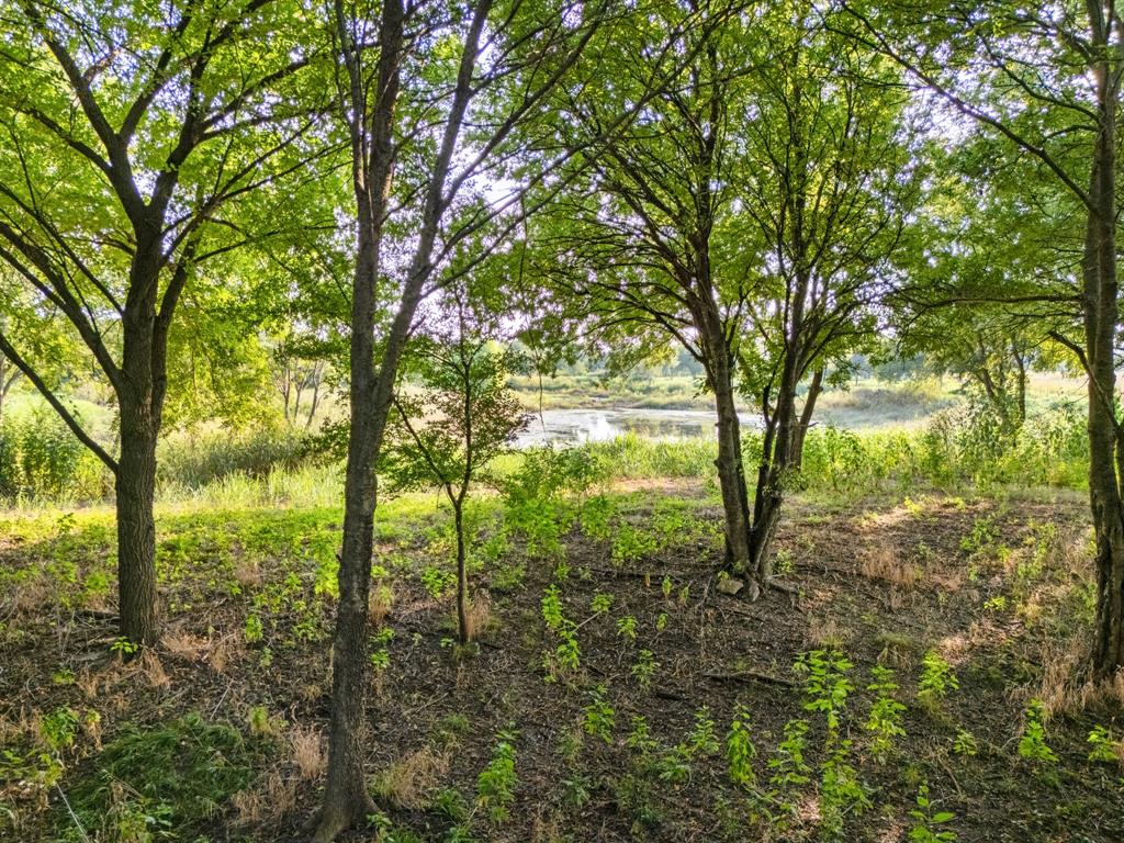24+/- Ac. Tbd Hwy 6 Property Photo 16