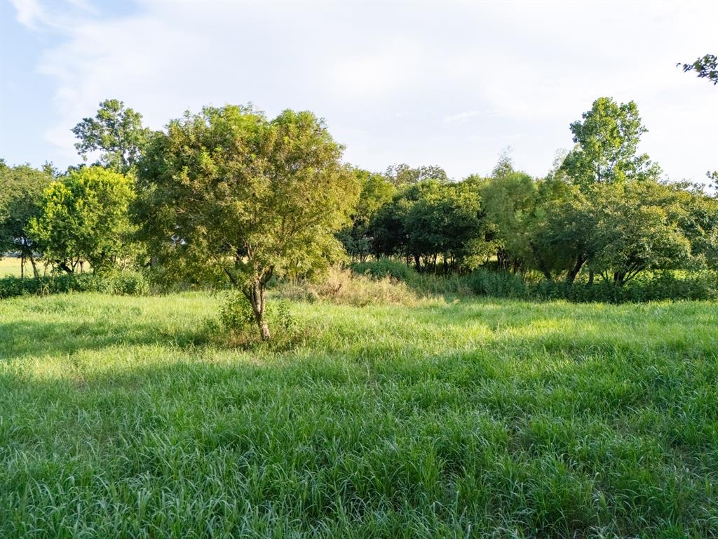 24+/- Ac. Tbd Hwy 6 Property Photo 19